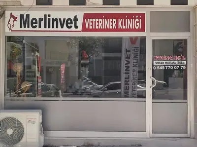 Merlinvet Veteriner Kliniği
