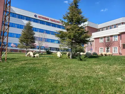 Kırıkkale Üniversitesi Veteriner Fakültesi
