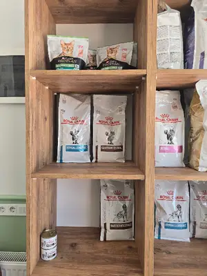 Pati Side Veteriner Kliniği
