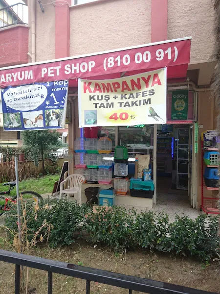 S foto 1