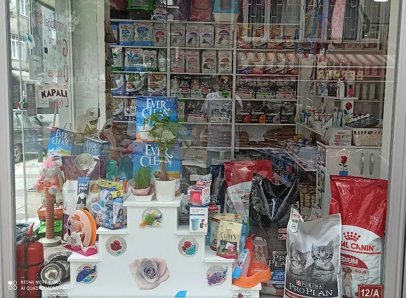 Clean PetShop foto 1