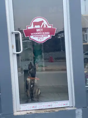 Mct Veteriner Kliniği