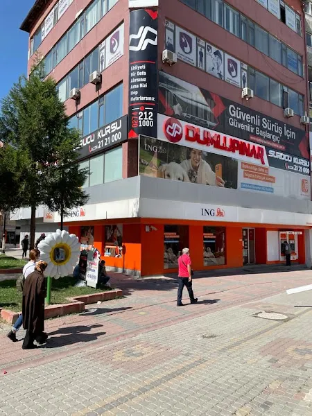 Doğan Eğitim Kurumları foto 1