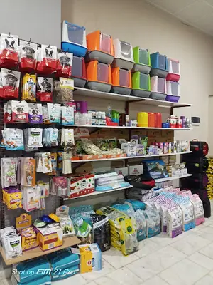 BENEK PETSHOP