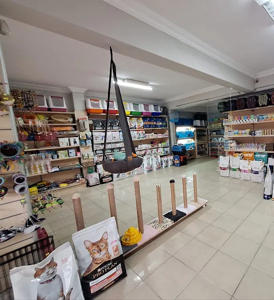 Atom Petshop foto 2