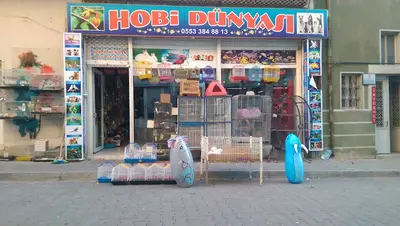 HOBİ DÜNYASI