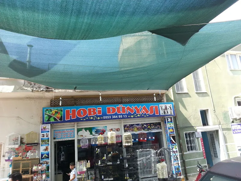 HOBİ DÜNYASI foto 2