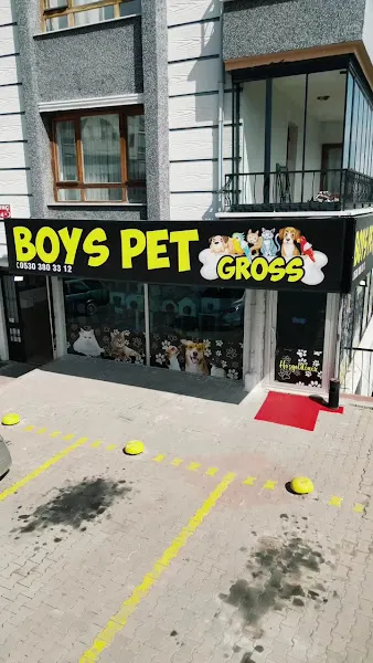 Boys Petgross foto 2