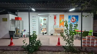 Akhan Güvercin Store