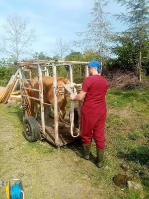 Vona Veteriner Kliniği