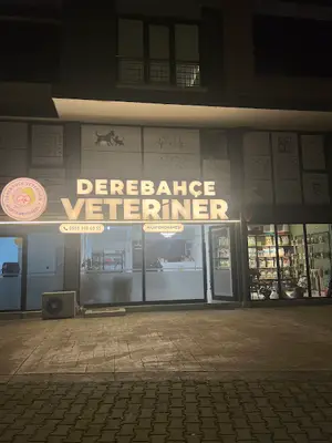 Derebahçe Veteriner Muayenehanesi 7/24