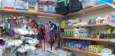 Egzotik Petshop Karaman