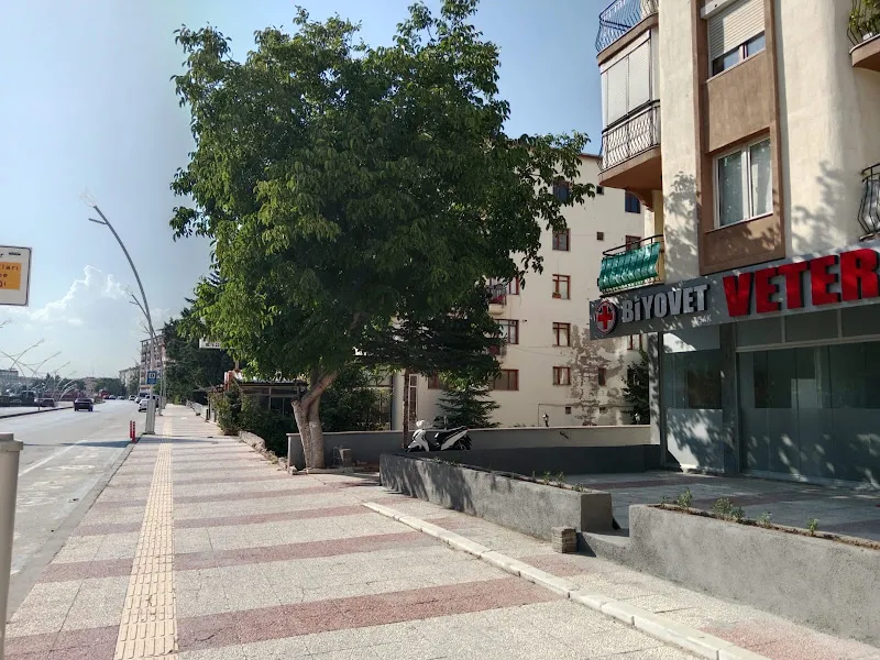 BİYOVET UŞAK VETERİNER KLİNİĞİ foto 2