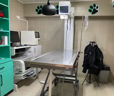 Nohutçuoğlu Veteriner Kliniği