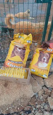 Balçık Petshop