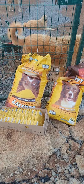 Balçık Petshop foto 1