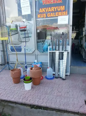 YONCALIK AKVARYUM. Bahri.