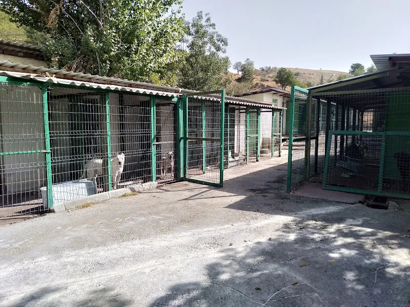Güvenli Sahiplendirme - Dikmen foto 2
