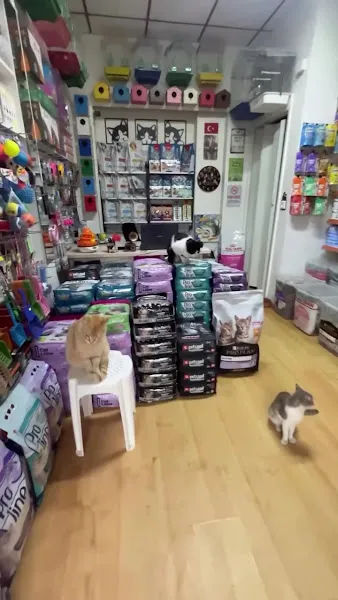 Joker Petshop foto 2