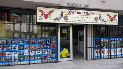 Güvercin hastanesi ( kanatlı hayvan yem ekipman ve ilaçları)