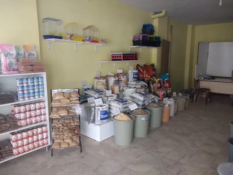 Güvercin hastanesi ( kanatlı hayvan yem ekipman ve ilaçları) foto 2