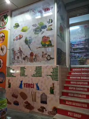 Alev Akvaryum