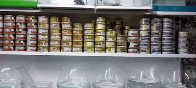 White petshop