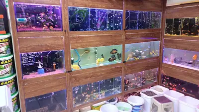 Eskişehir Tuna Akvaryum