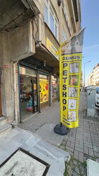Gümüş Petshop foto 1