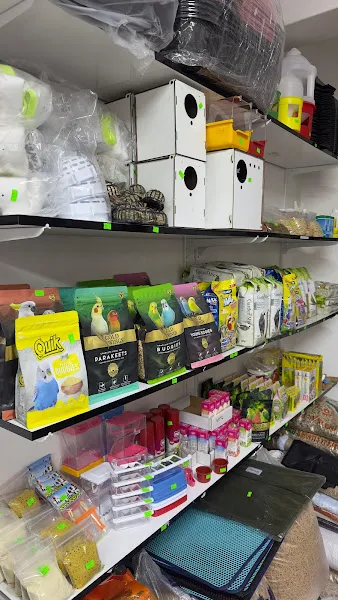 Gümüş Petshop foto 2