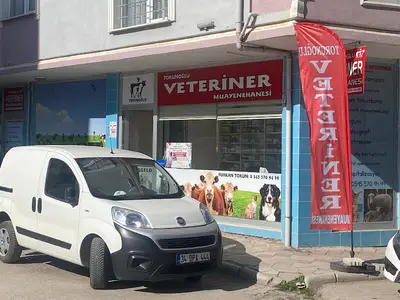 TORUNOĞLU VETERİNER MUAYENEHANESİ