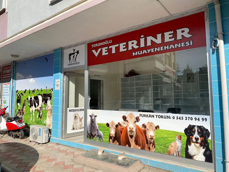 TORUNOĞLU VETERİNER MUAYENEHANESİ foto 2