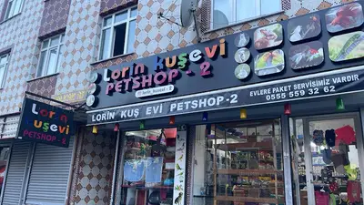 Lorin Petshop 2