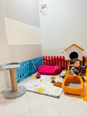Ediz Petshop & Pet Otel
