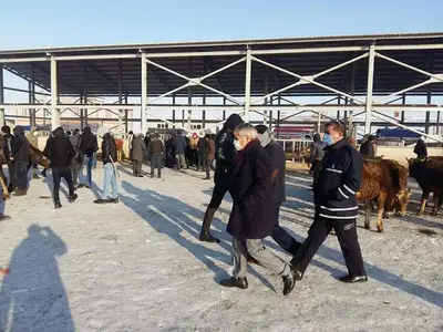 Hayvan pazarı