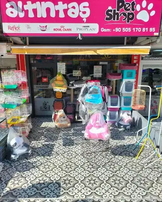 altıntaş petshop