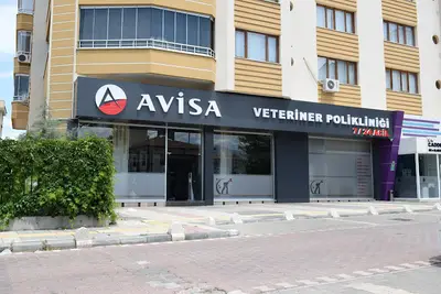 Avcı Veteriner Kliniği