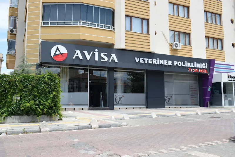 Avcı Veteriner Kliniği foto 1