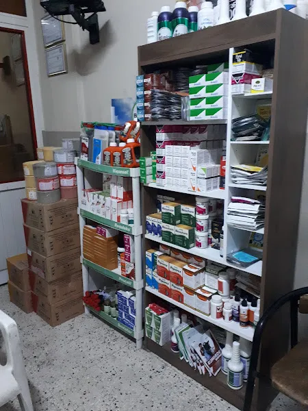 Spil Veteriner Kliniği foto 2