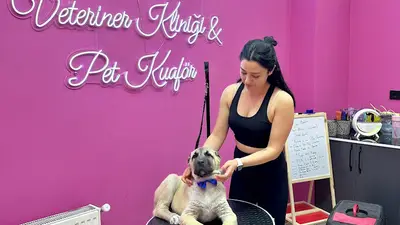 Malatya Pet Kuaför Veteriner Kübra Yıldırım
