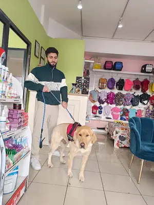 Linda Pet Kuaför Butik Salon Muğla