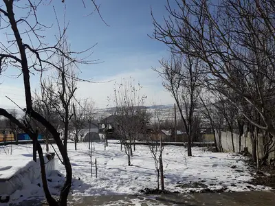Şiran Süt A. Ş