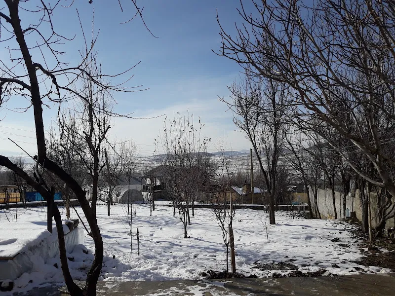 Şiran Süt A. Ş foto 1