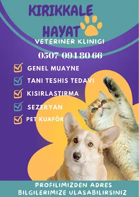 Kırıkkale Hayat Veteriner Kliniği