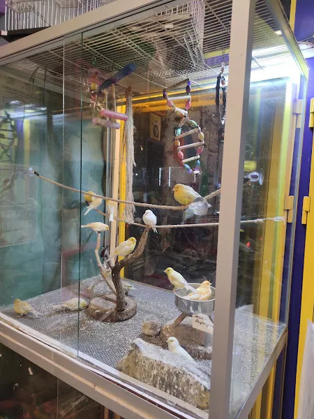 inci Akvaryum foto 2