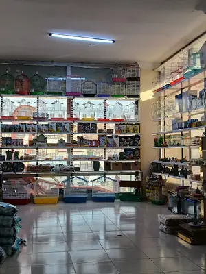 Han petshop