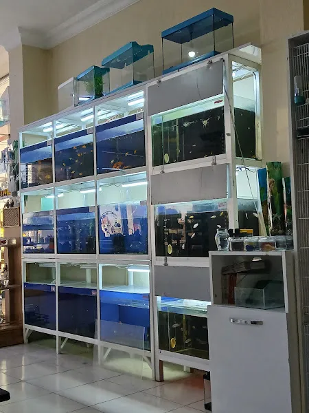 Han petshop foto 2