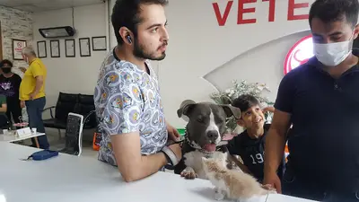 Veteriner İşleri Müdürlüğü