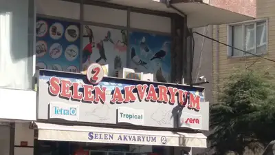 Dolphin Akvaryum