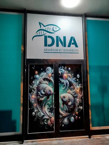DNA AKVARYUM SU ÜRÜNLERİ HAZNEDAR foto 2